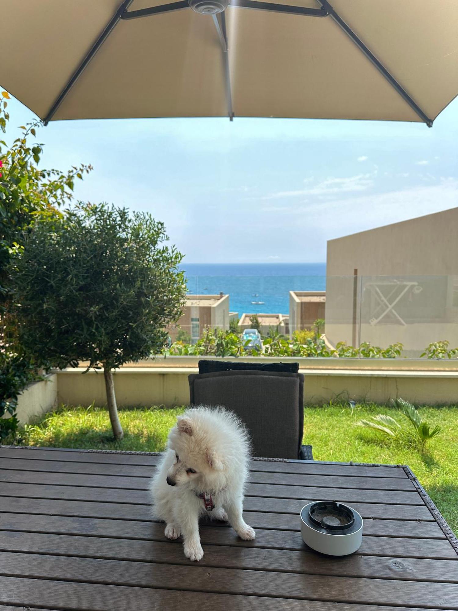 Pacific 2 Bedroom Palasë